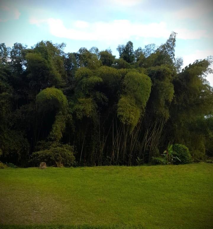 Filandia - Finca Rural La Guadalupana Otel Dış mekan fotoğraf