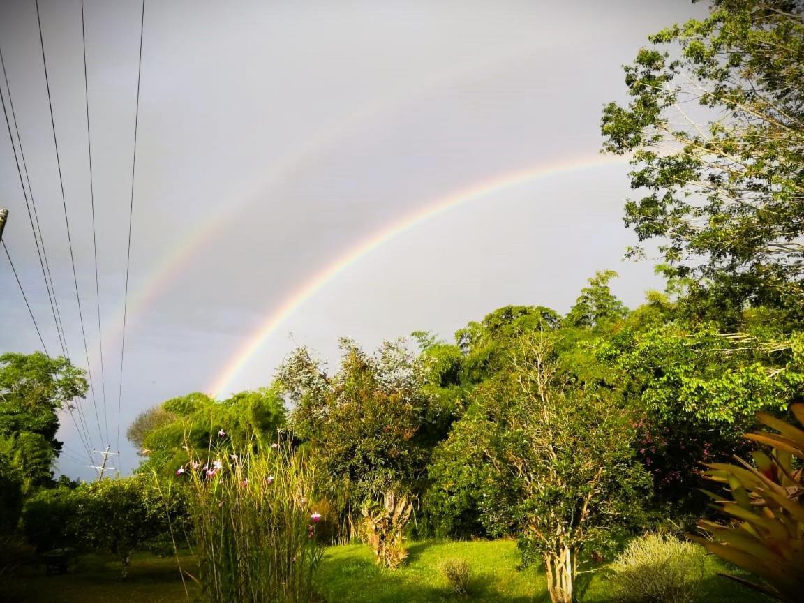 Filandia - Finca Rural La Guadalupana Otel Dış mekan fotoğraf