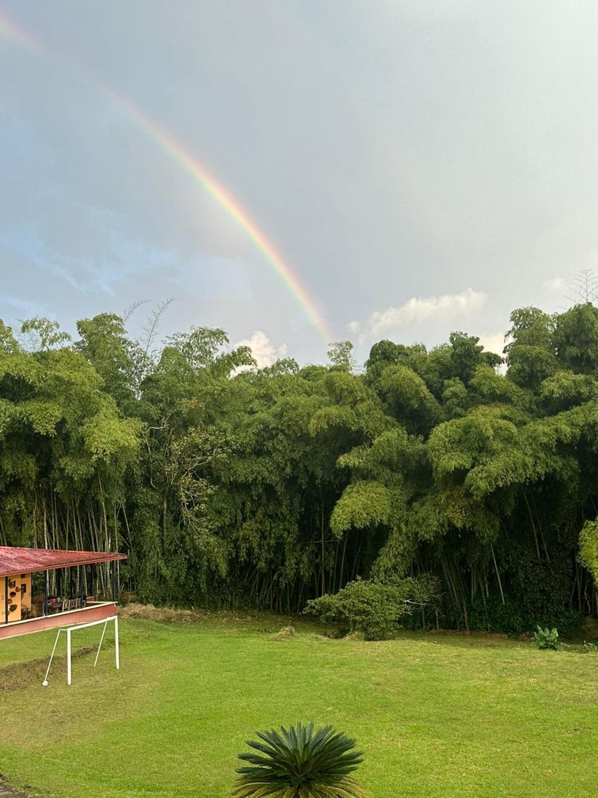Filandia - Finca Rural La Guadalupana Otel Dış mekan fotoğraf